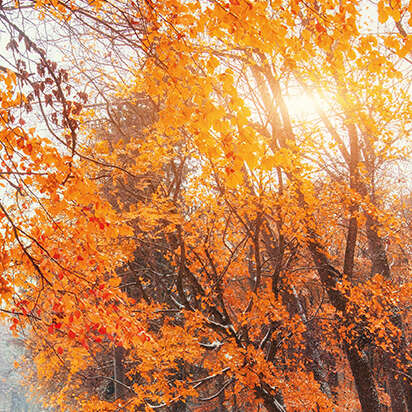 prospekt november bubblenavi MASTER 412x412